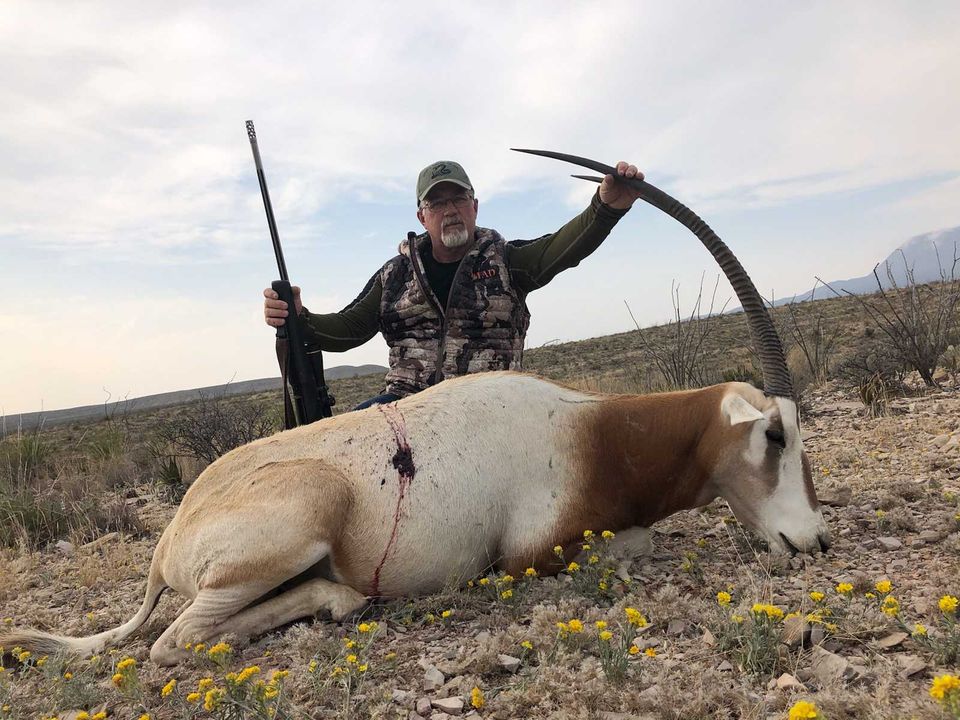 free range axis hunts in Texas
