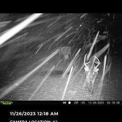 Photo by BR Outfitters