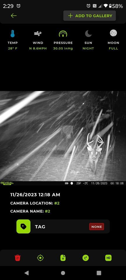 Enlarged photo by BR Outfitters