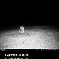 Photo by BR Outfitters