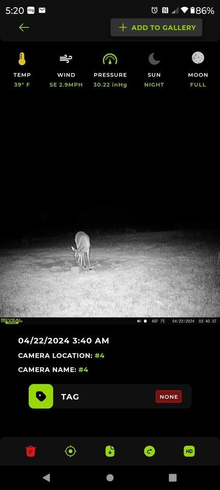 Enlarged photo by BR Outfitters