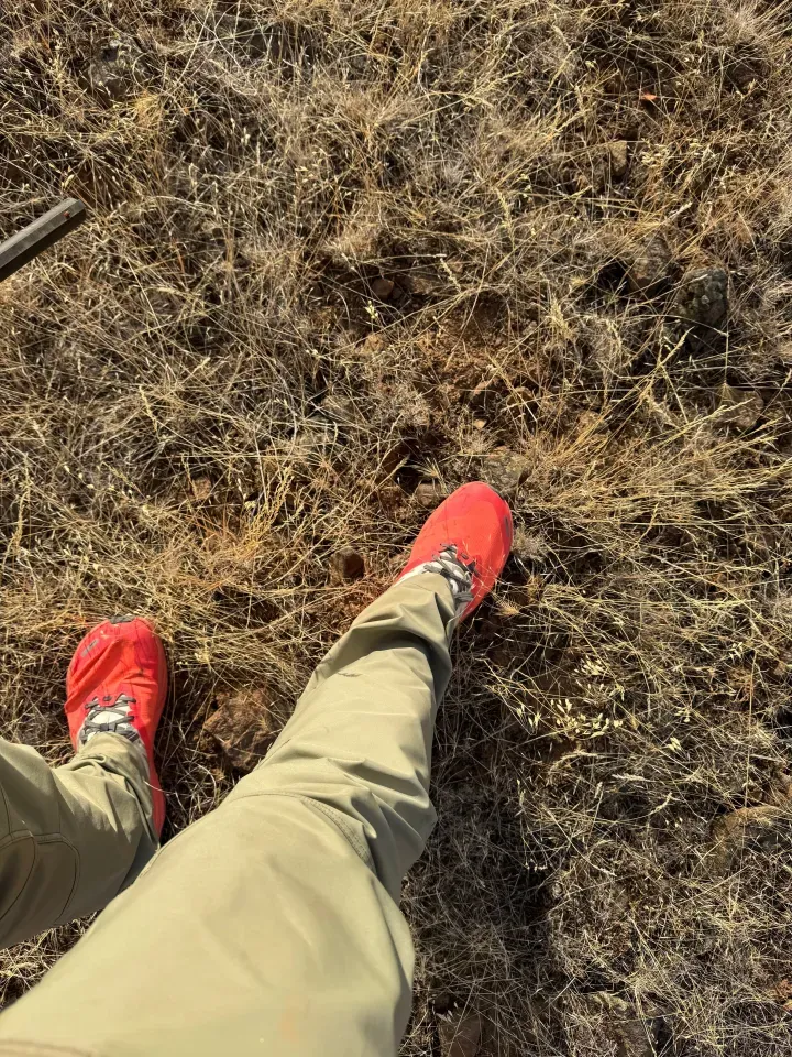 So FAST on the trail