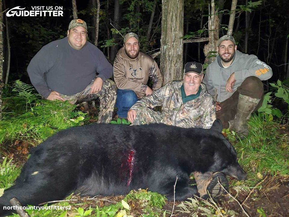 Bear Hunt | North Country Outfitters