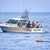 Rough House Charters