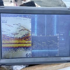 Photo by Troys Guide Service