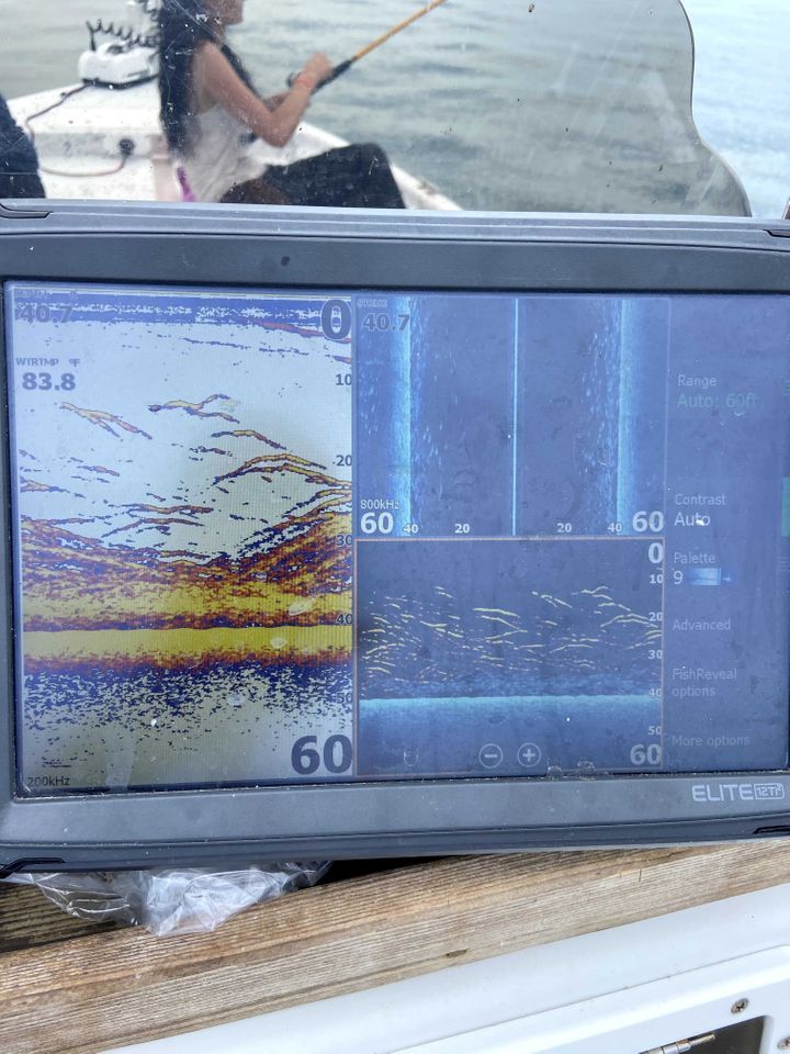 Enlarged photo by Troys Guide Service