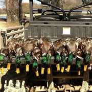 Arkansas county guide service