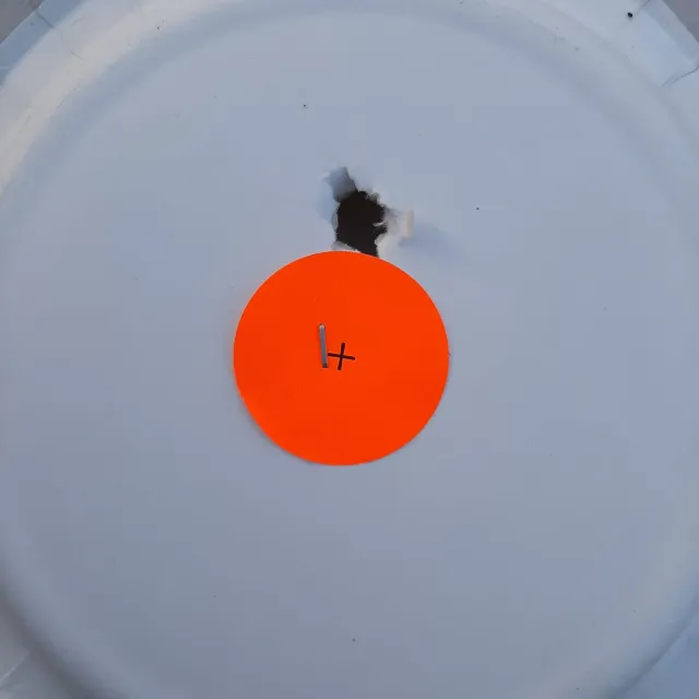 The picture of the target is the first shot through my gu...
