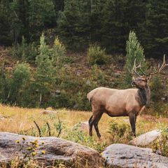 Photo by BASK Outfitters