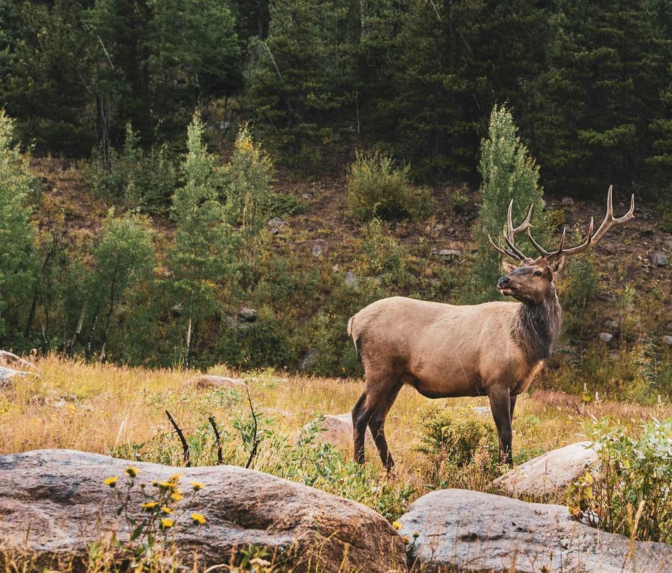 Enlarged photo by BASK Outfitters