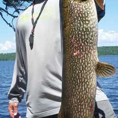 Photo by Basswood Trails Guide Service