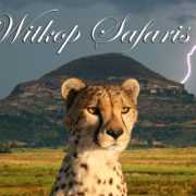 Witkop Safaris