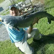 bigcatfish76