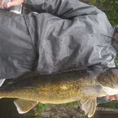 Photo by Basswood Trails Guide Service