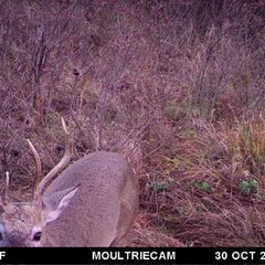 Photo by BR Outfitters