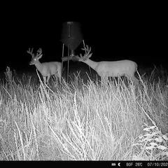 Photo by BR Outfitters