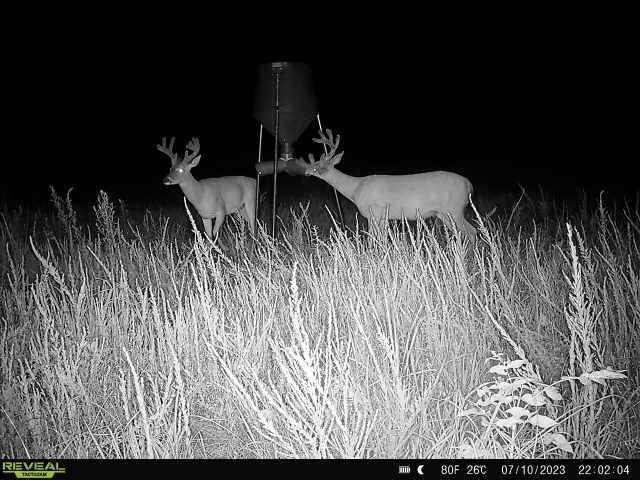 Enlarged photo by BR Outfitters