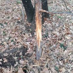 Photo by BR Outfitters