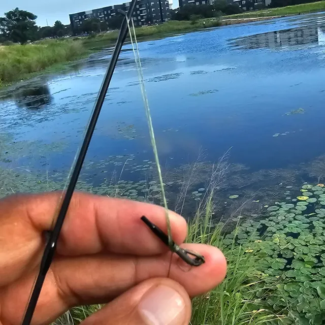 SIERRA ULTRA FINESSE CASTING Guidefitter