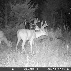 Photo by BR Outfitters