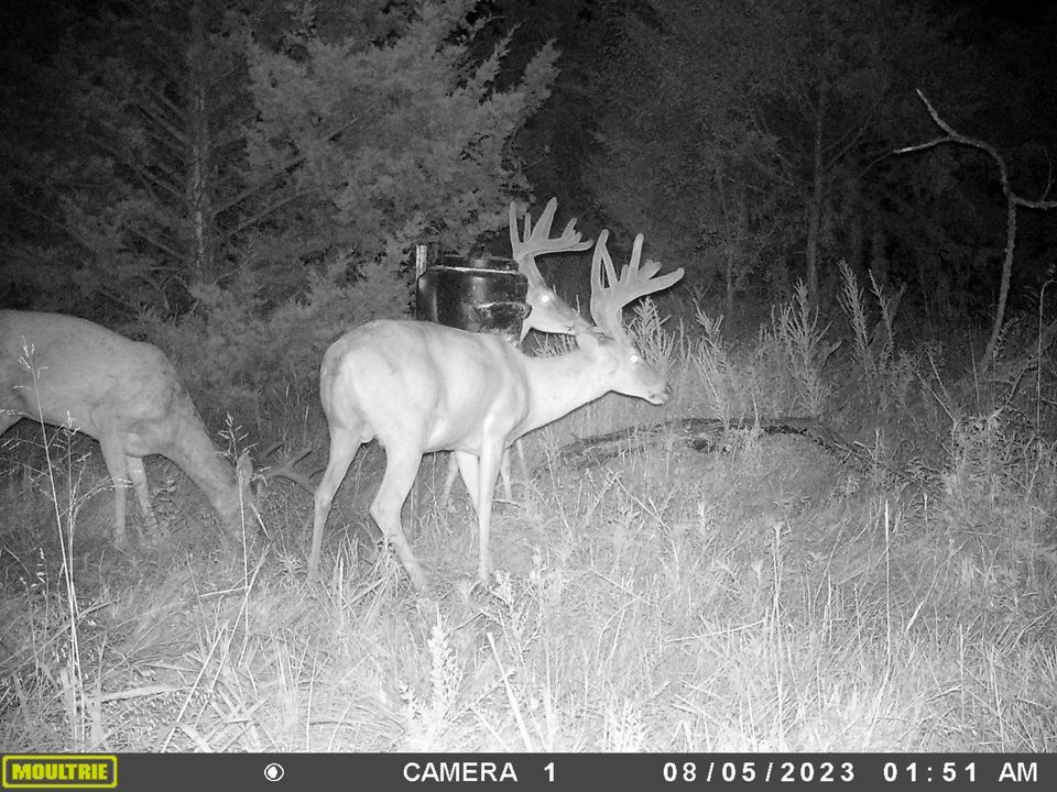 Enlarged photo by BR Outfitters