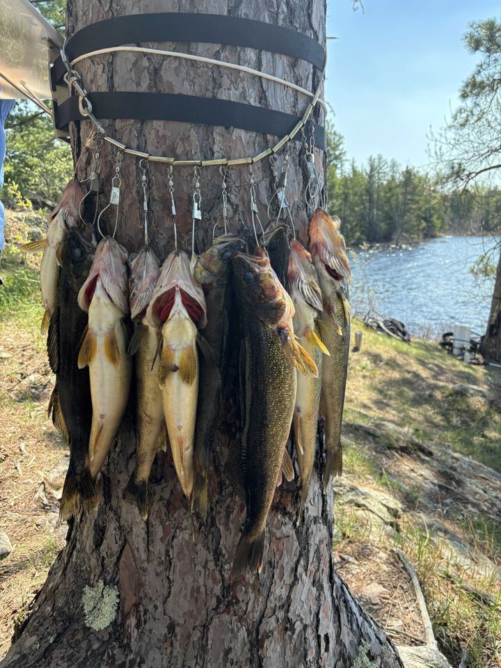 Enlarged photo by Basswood Trails Guide Service