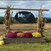 Mustard Seed Farms and Gun Dogs