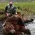 Kodiak Bear Guides/ Port Lions Lodge