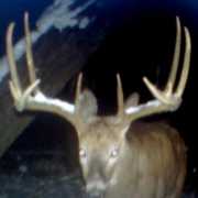 High Tines Outfitters