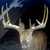 High Tines Outfitters