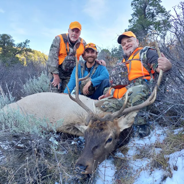 DIABLO VT Guidefitter