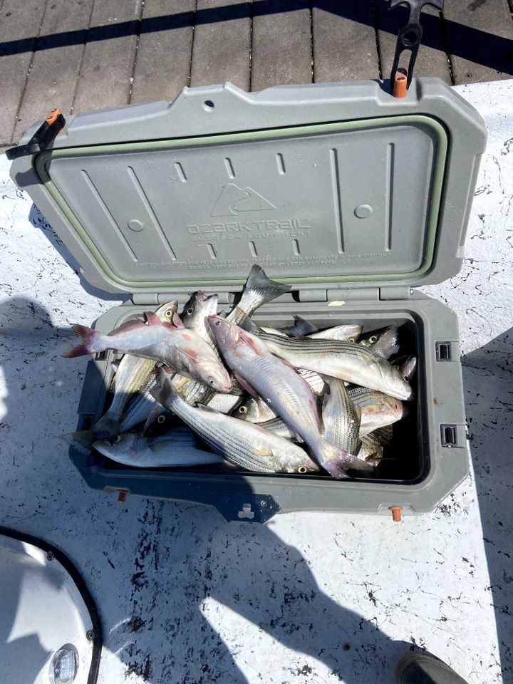 Enlarged photo by Troys Guide Service