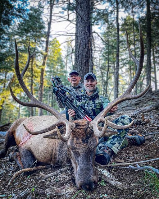 Early September Elk Archery Hunt Guidefitter