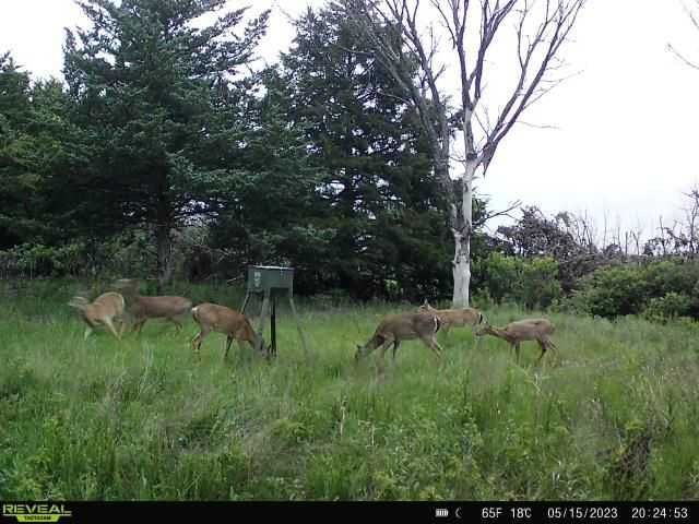 Enlarged photo by BR Outfitters