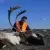 Gangler's Canadian Sub-Arctic Hunting - CSAH