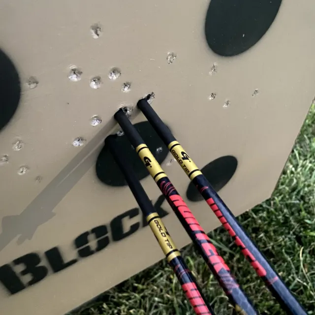 Really enjoy this target. Much better than any bag setup ...