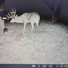 Photo by BR Outfitters