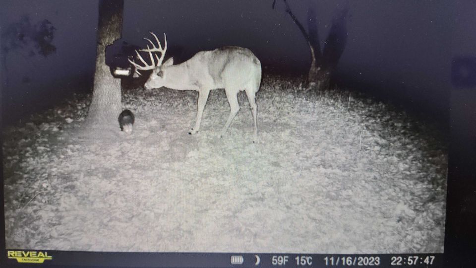 Enlarged photo by BR Outfitters