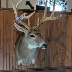 Photo by BR Outfitters