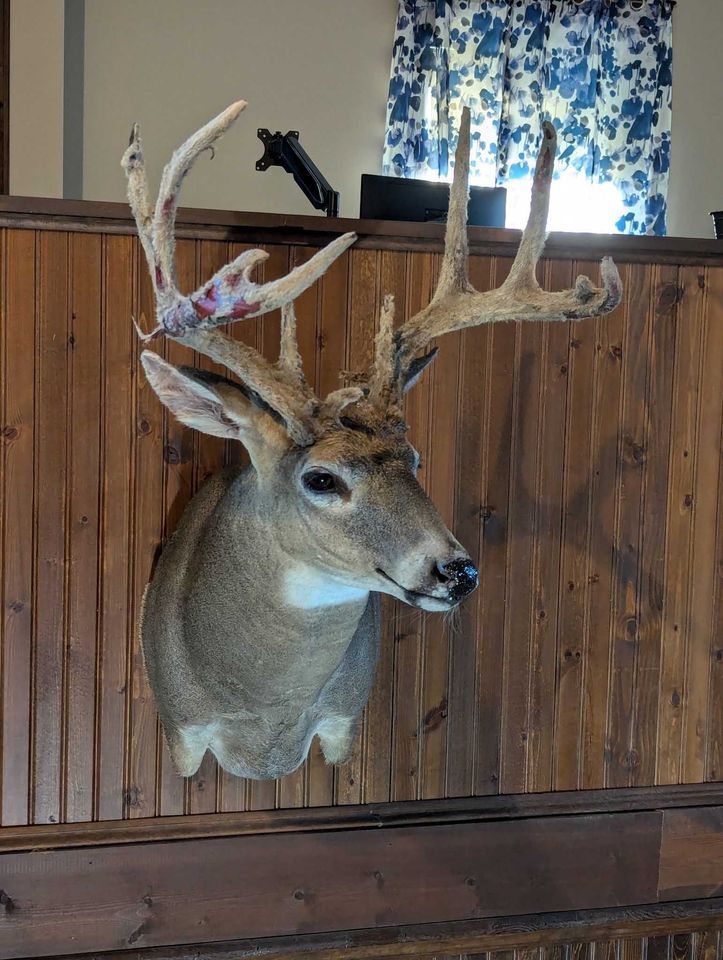 Enlarged photo by BR Outfitters