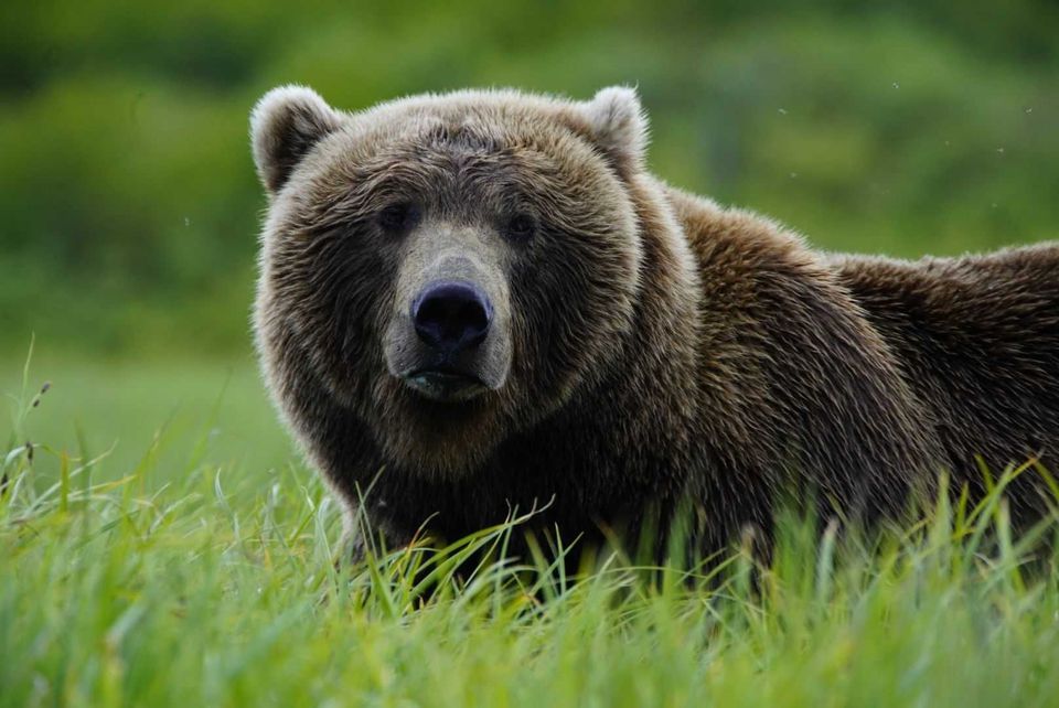 Enlarged photo by A-Team Outfitting