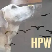 High Plains Wingshooters (HPW)