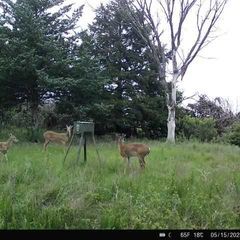 Photo by BR Outfitters