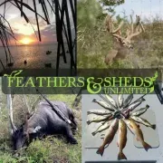 Feathers & Sheds Unlimited