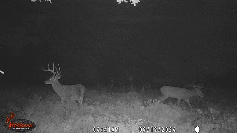 Enlarged photo by BR Outfitters