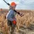 Willow Creek Wildlife, Inc