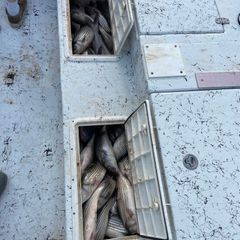 Photo by Troys Guide Service