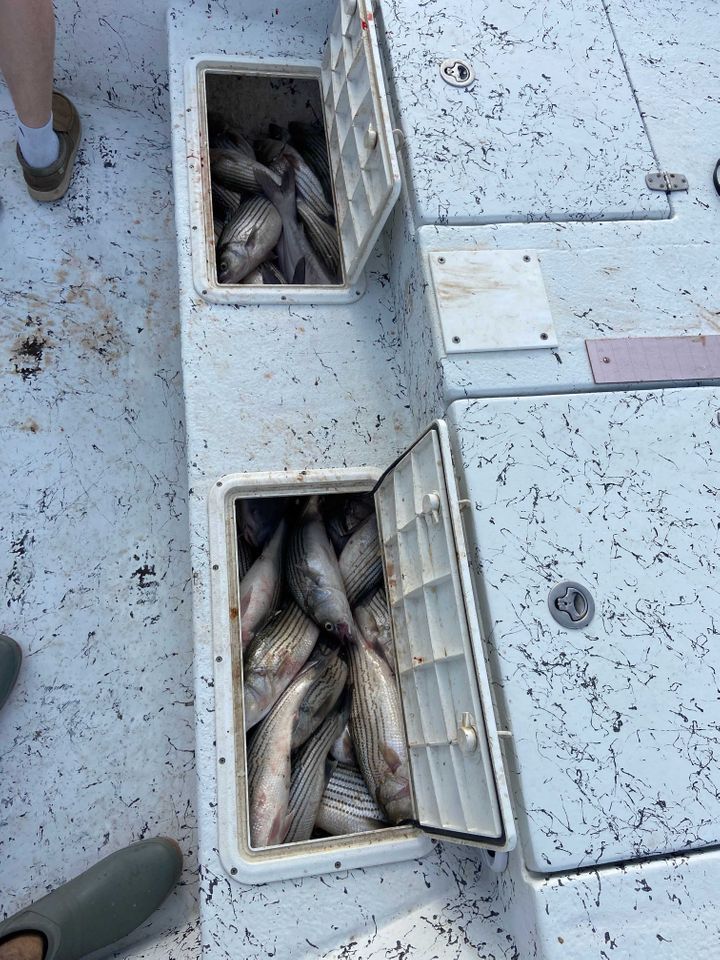 Enlarged photo by Troys Guide Service