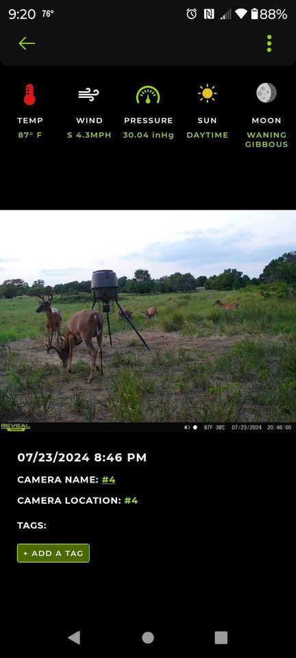 Enlarged photo by BR Outfitters