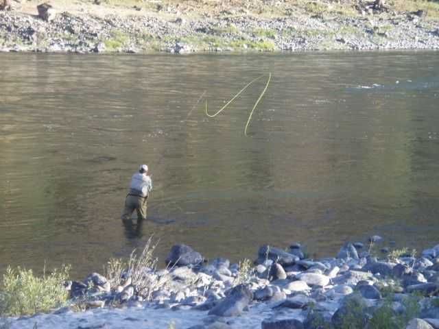 Enlarged photo by Wapiti River Guides